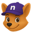 nBases Logo