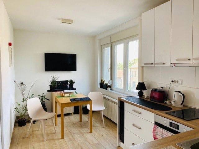 1-bedroom apartment in Dorcol