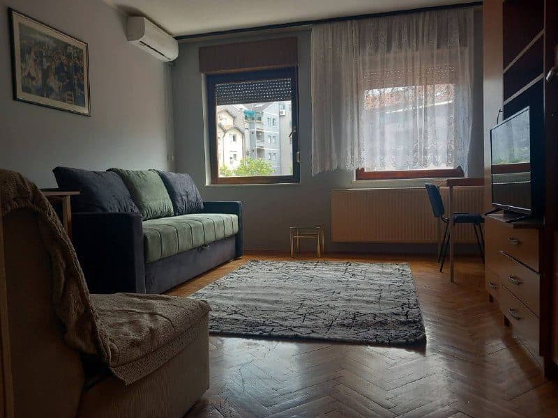 Studio on Braฤe Ribnikara